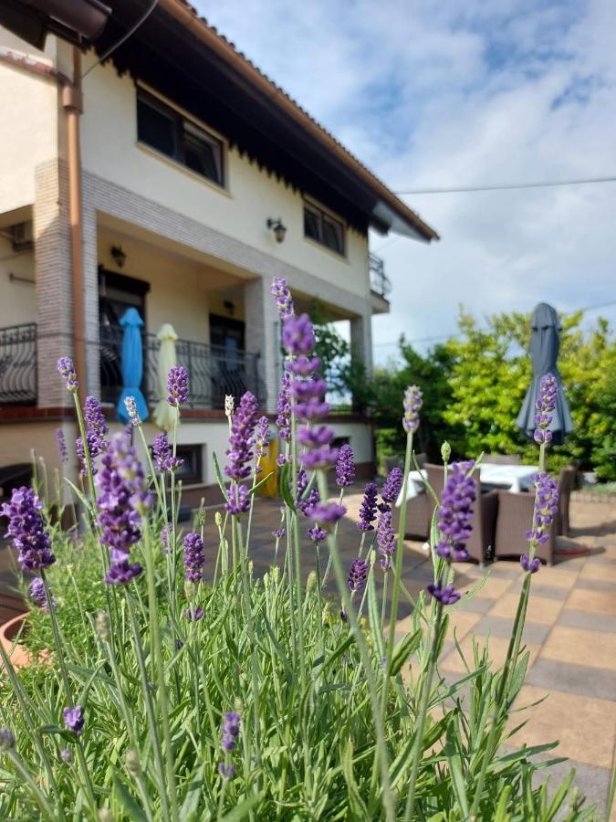Apartman Nada Ozalj Exteriér fotografie